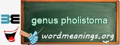 WordMeaning blackboard for genus pholistoma